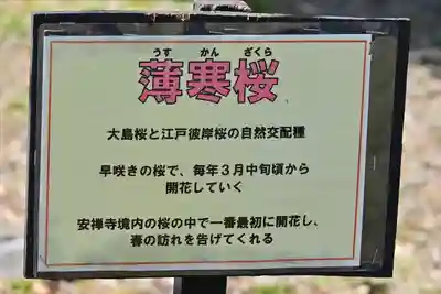 安禅寺(新潟県)