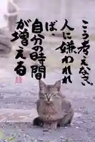 専念寺(大阪府)