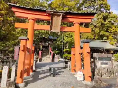 敢國神社の鳥居