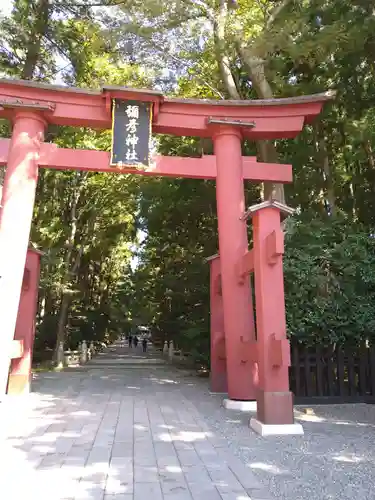 彌彦神社の鳥居