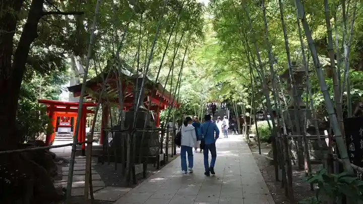 來宮神社(静岡県)