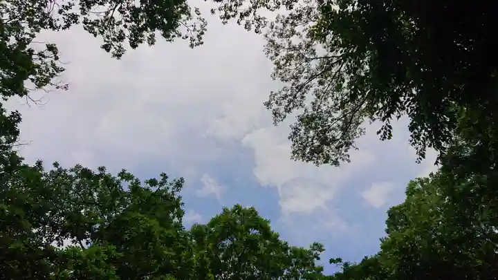 神明社(国府宮神明社)の自然