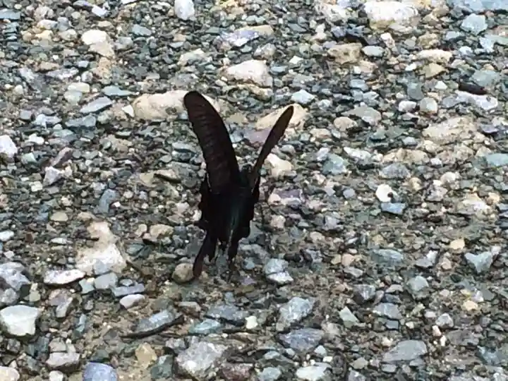 弘照院(福岡県)