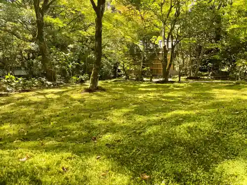 西芳寺(京都府)