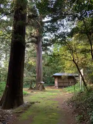 大棟梁大神(千葉県)