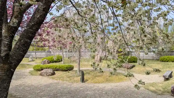 圓光寺(京都府)