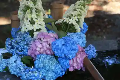 高司神社〜むすびの神の鎮まる社〜の手水舎