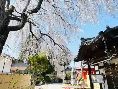 長光寺(長野県)