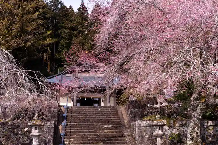 村山浅間神社(静岡県)