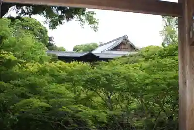 東福禅寺（東福寺）(京都府)