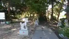 玉清井神社の狛犬