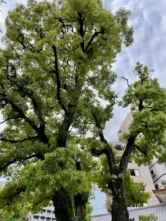 蒲田八幡神社(東京都)