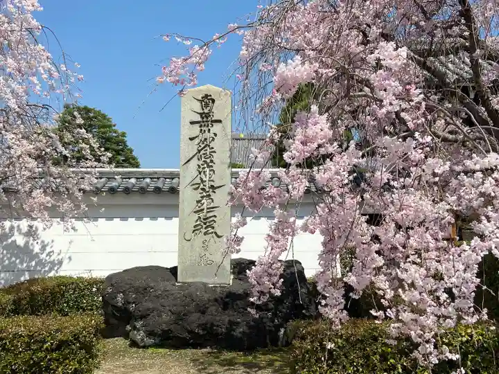 妙顯寺(妙顕寺)(京都府)
