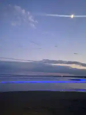 大洗磯前神社(茨城県)