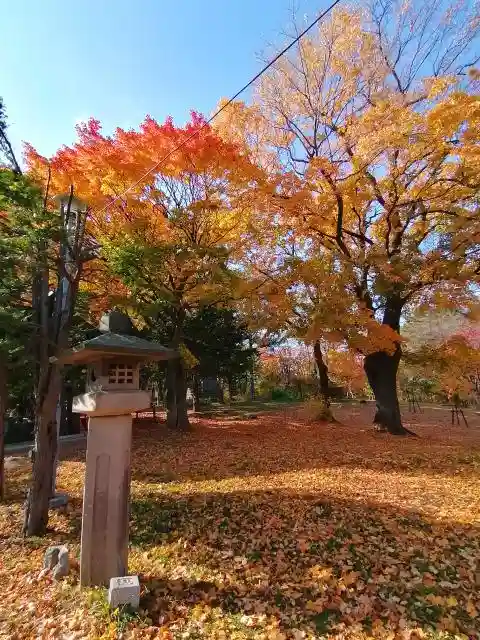 月寒神社の自然