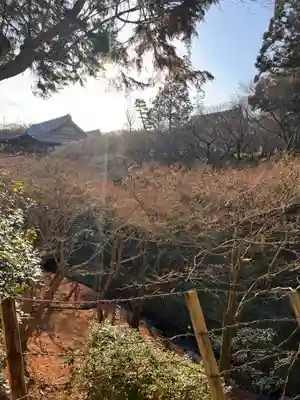 東福禅寺(東福寺)(京都府)