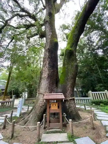 伊弉諾神宮の自然