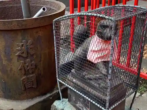 佐賀稲荷神社の狛犬