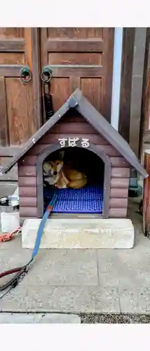 感通寺(東京都)