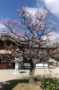 比佐豆知神社(三重県)(2023年02月26日(日) 12時32分28秒投稿)