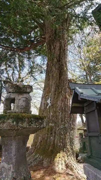 熊野皇大神社の自然
