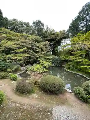 隨心院(随心院)(京都府)