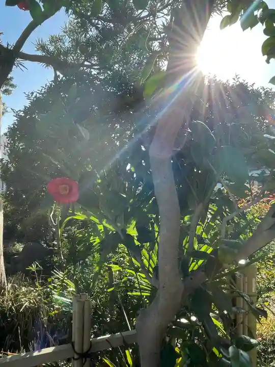 龍泉寺の{uncategorized: "未分類", other: "その他", undefined: "問題あり", building: "その他建物", grave: "お墓", sacred_gate: "鳥居", guardian: "狛犬", statue: "像", buddha: "仏像", history: "歴史", nature: "自然", garden: "庭園", animal: "動物", pagoda: "塔", temizu: "手水舎", mountain_gate: "山門・神門", sanctuary: "本殿・本堂", subordinate: "末社・摂社", art: "芸術", scenery: "景色", jizo: "地蔵", ema: "絵馬", goshuin: "御朱印", omikuji: "おみくじ", items: "授与品その他", amulet: "お守り", goshuincho: "御朱印帳", eats: "食事", festival: "お祭り", votive_dance: "神楽", shichigosan: "七五三参", wedding: "結婚式", experience: "体験その他", initially: "初詣", around: "周辺", anti_infection: "感染症対策"}