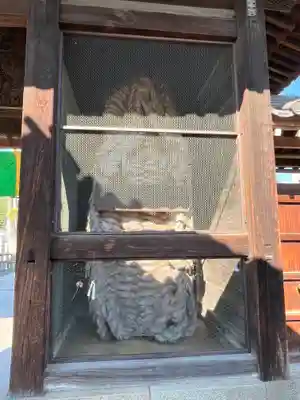 善通寺(香川県)