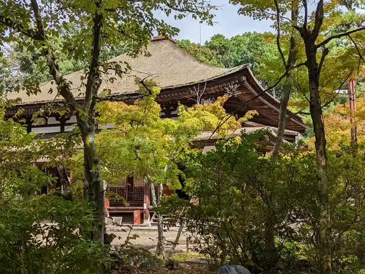 法界寺(日野薬師)(京都府)