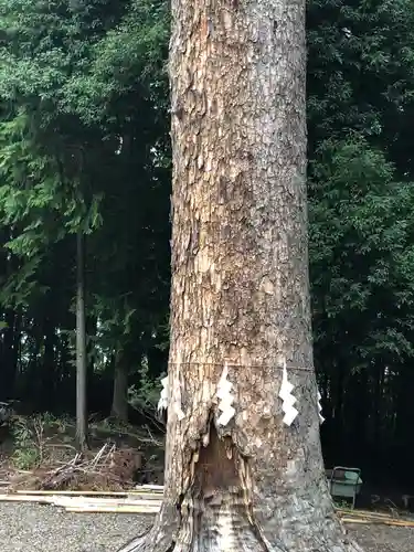 滑川神社 - 仕事と子どもの守り神(福島県)