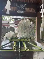 伊豫豆比古命神社の手水