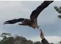 恵比須神社の{uncategorized: "未分類", other: "その他", undefined: "問題あり", building: "その他建物", grave: "お墓", sacred_gate: "鳥居", guardian: "狛犬", statue: "像", buddha: "仏像", history: "歴史", nature: "自然", garden: "庭園", animal: "動物", pagoda: "塔", temizu: "手水舎", mountain_gate: "山門・神門", sanctuary: "本殿・本堂", subordinate: "末社・摂社", art: "芸術", scenery: "景色", jizo: "地蔵", ema: "絵馬", goshuin: "御朱印", omikuji: "おみくじ", items: "授与品その他", amulet: "お守り", goshuincho: "御朱印帳", eats: "食事", festival: "お祭り", votive_dance: "神楽", shichigosan: "七五三参", wedding: "結婚式", experience: "体験その他", initially: "初詣", around: "周辺", anti_infection: "感染症対策"}