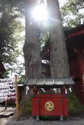 日光二荒山神社(栃木県)