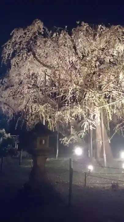 八幡社の末社・摂社