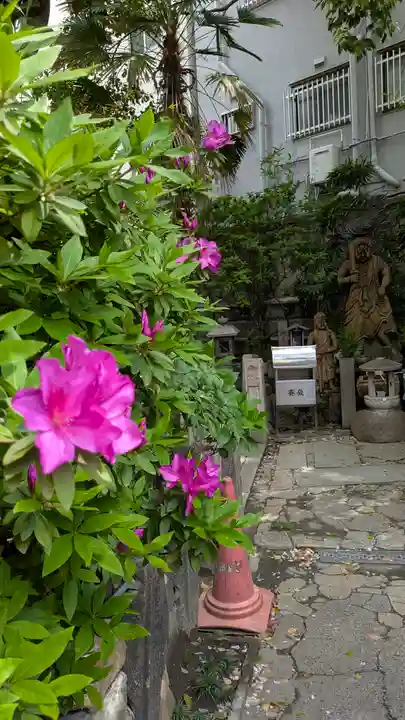 了徳院(大阪府)