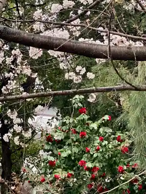 御香宮神社(京都府)