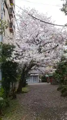 秋葉神社(東京都)