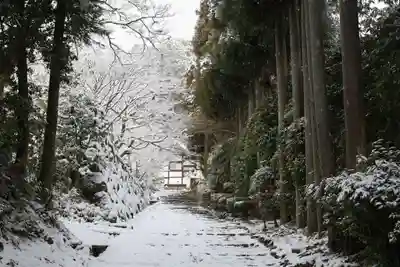 正伝護国禅寺(正伝寺･正傳寺)(京都府)
