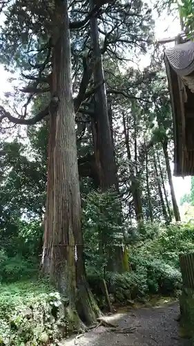 高森阿蘇神社の建物その他