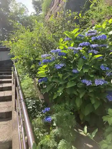 松嶺院(神奈川県)
