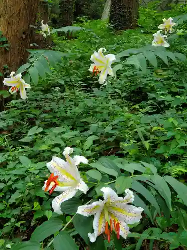 鹿島大神宮(福島県)