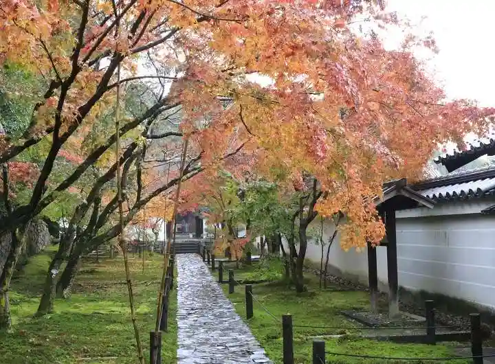 酬恩庵一休寺の自然