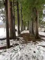 矢放神社(新潟県)