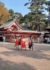 住吉大社(大阪府)