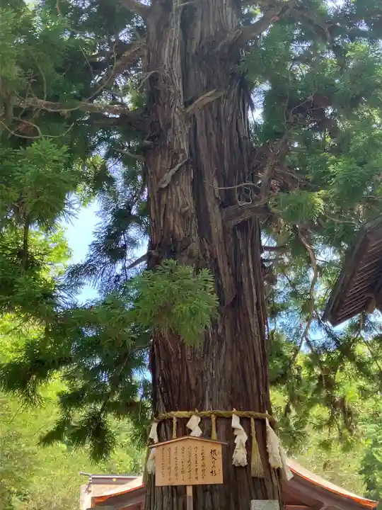 諏訪大社下社秋宮(長野県)