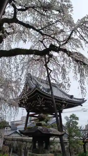 円明寺の{uncategorized: "未分類", other: "その他", undefined: "問題あり", building: "その他建物", grave: "お墓", sacred_gate: "鳥居", guardian: "狛犬", statue: "像", buddha: "仏像", history: "歴史", nature: "自然", garden: "庭園", animal: "動物", pagoda: "塔", temizu: "手水舎", mountain_gate: "山門・神門", sanctuary: "本殿・本堂", subordinate: "末社・摂社", art: "芸術", scenery: "景色", jizo: "地蔵", ema: "絵馬", goshuin: "御朱印", omikuji: "おみくじ", items: "授与品その他", amulet: "お守り", goshuincho: "御朱印帳", eats: "食事", festival: "お祭り", votive_dance: "神楽", shichigosan: "七五三参", wedding: "結婚式", experience: "体験その他", initially: "初詣", around: "周辺", anti_infection: "感染症対策"}