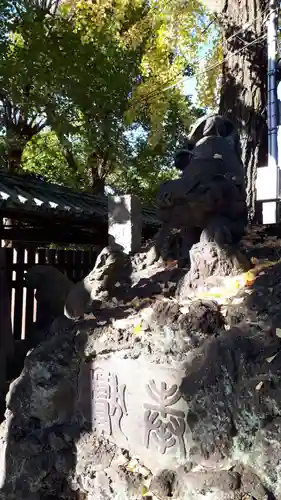 牛嶋神社の狛犬