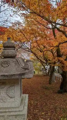 岩屋寺(京都府)