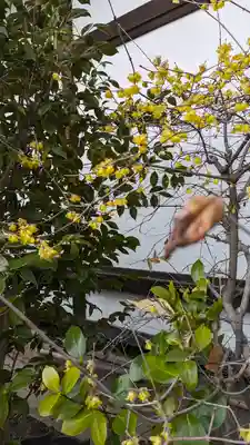 雨宝院(京都府)