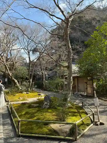 明月院(神奈川県)